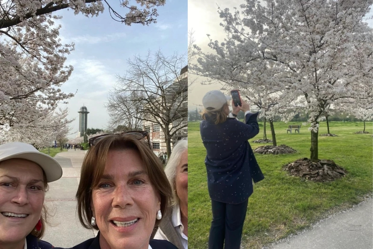 guler sabanci bu yil da sakura mevsimini sabanci universitesinde karsiladi 0