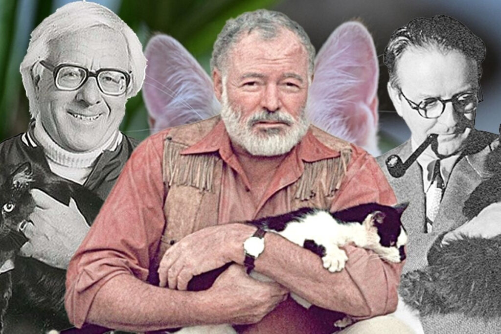 hemingwayden murakamiye edebiyatin yaratici surecinde kedilerin rolu suKDguUy