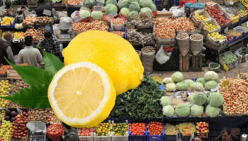 mart ayinin zam sampiyonu belli oldu limon xuUHHB6r