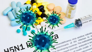 meksikada ilk kez bir insanda h5n1 turu kus gribine rastlandi uveYZAnQ