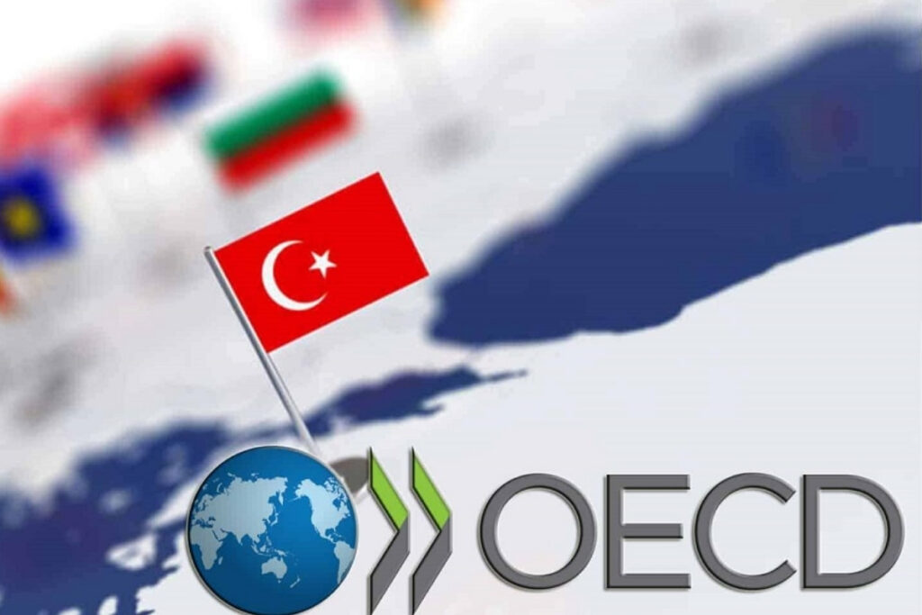 oecdnin ulke bazli ekonomik incelemeleri kapsaminda hazirladigi turkiye inceleme raporu baslikli raporu yayimlandi aYcWLCnI