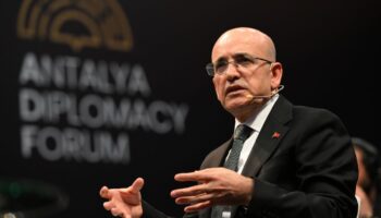 simsek korumacilik uzun vadeli buyumeye darbe vuracak ZnfmzgRb