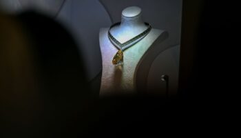 sothebys abu dabide nadir bulunan renkli elmaslari sergiliyor RtrXhtfA