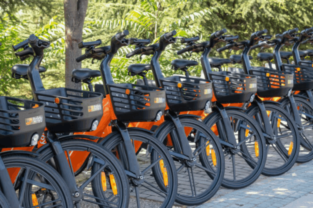 surdurulebilir ulasim sirketi tripy mobility econic accelerator 2025 kisa listesinde BLVysZUz