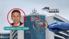 tahta kurularinin istila ettigi mugla egitim ve arastirma hastanesinde iki servis ilaclama icin kapatildi 5fYcvaBi