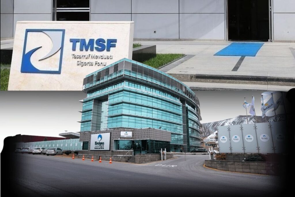 tmsf erciyes anadolu holdinge ait iki enerji sirketinin satis ihalesini sonuclandirdi 9ewU2OUa