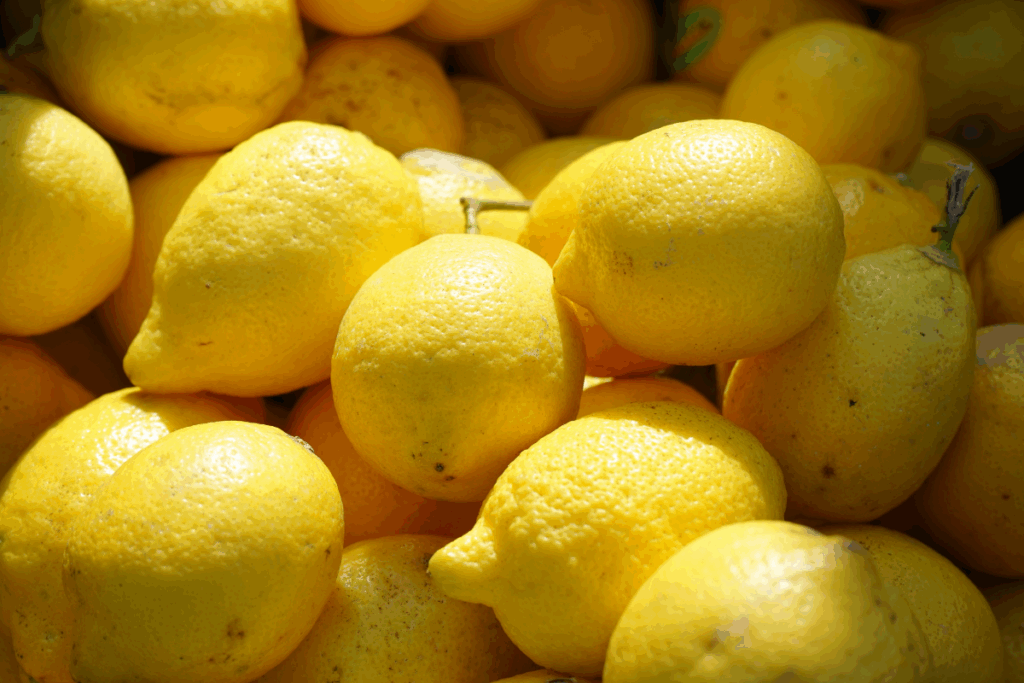 turk limonuna ihracat yasagi turkiyeden en cok limon ithal eden 3 ulkeden biri olan 1XVCT6FT