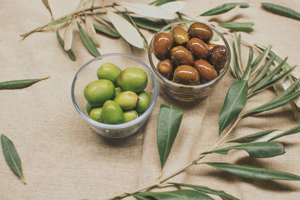 turkiye sofralik zeytin uretiminde dunyada ilk sirada hedef agac sayisi bakimindan da zirveye yerlesmek LqILciZX