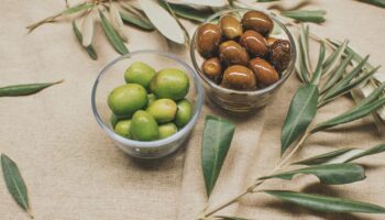 turkiye sofralik zeytin uretiminde dunyada ilk sirada hedef agac sayisi bakimindan da zirveye yerlesmek LqILciZX