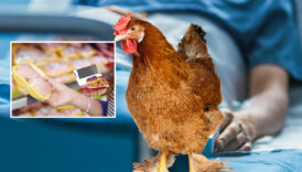 turkiyenin en buyuk tavuk ureticisindeki olumcul listeria bakterisi icin sadece 210 bin lira ceza JbYqj7xA