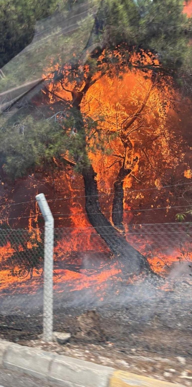 antalyadaki orman yangini bulent ersoyun villasini da yakti 1 Zr6fu5Qf