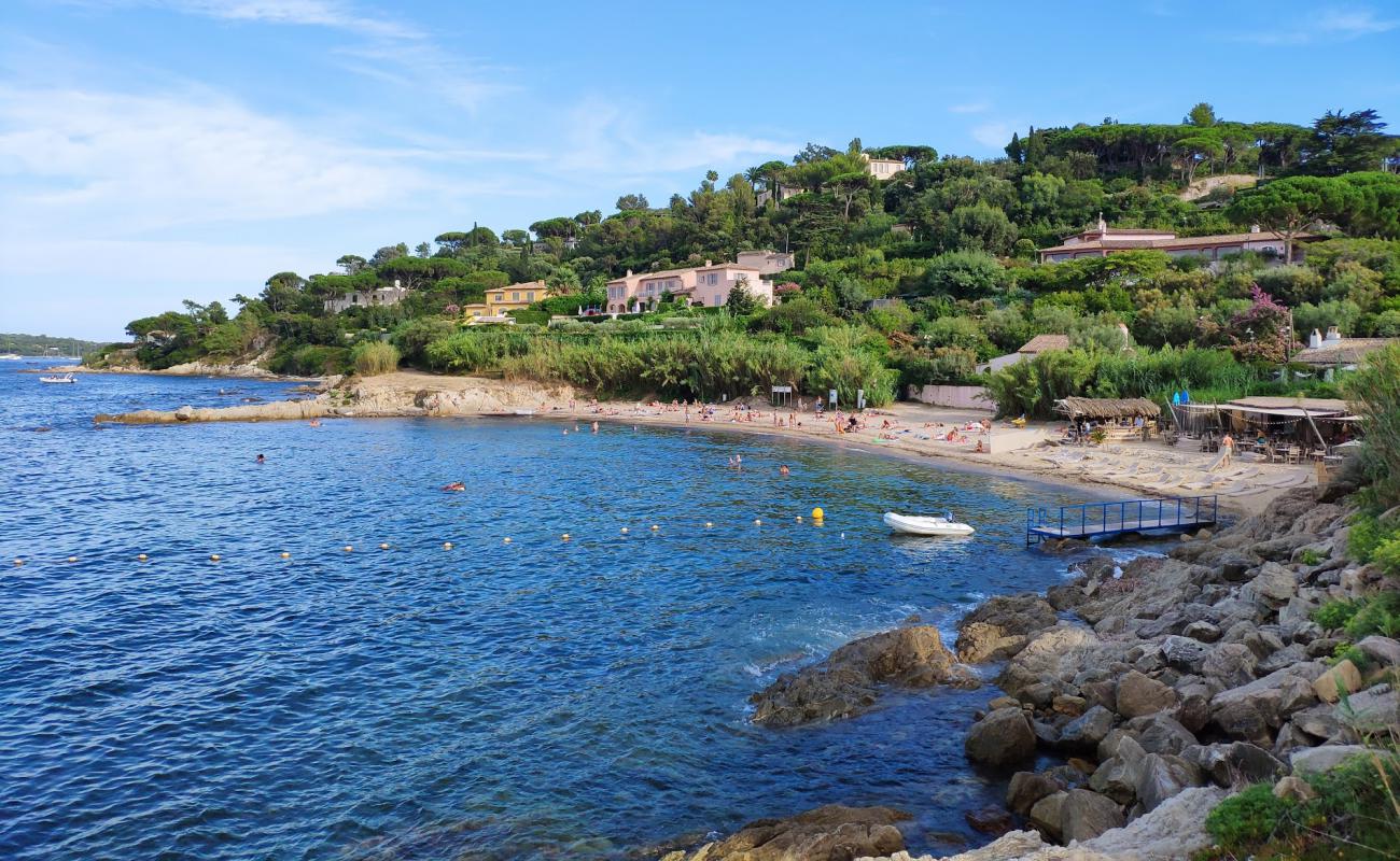 bir zamanlarin sessiz bir balikci koyu bugun fransiz rivierasinin en ikonik noktasi saint tropez qmWaw5SM