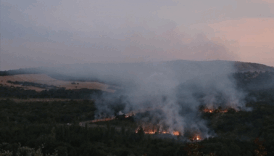 bulgaristandaki orman yangininin koku ve dumani 50 kilometre uzakliktaki edirneye ulasti zV5Kgz1T