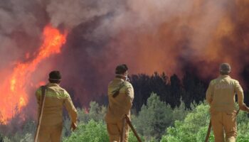 eskisehirdeki orman yangininda facia kahraman itfaiyeciler sehit oldu swfaEdBf