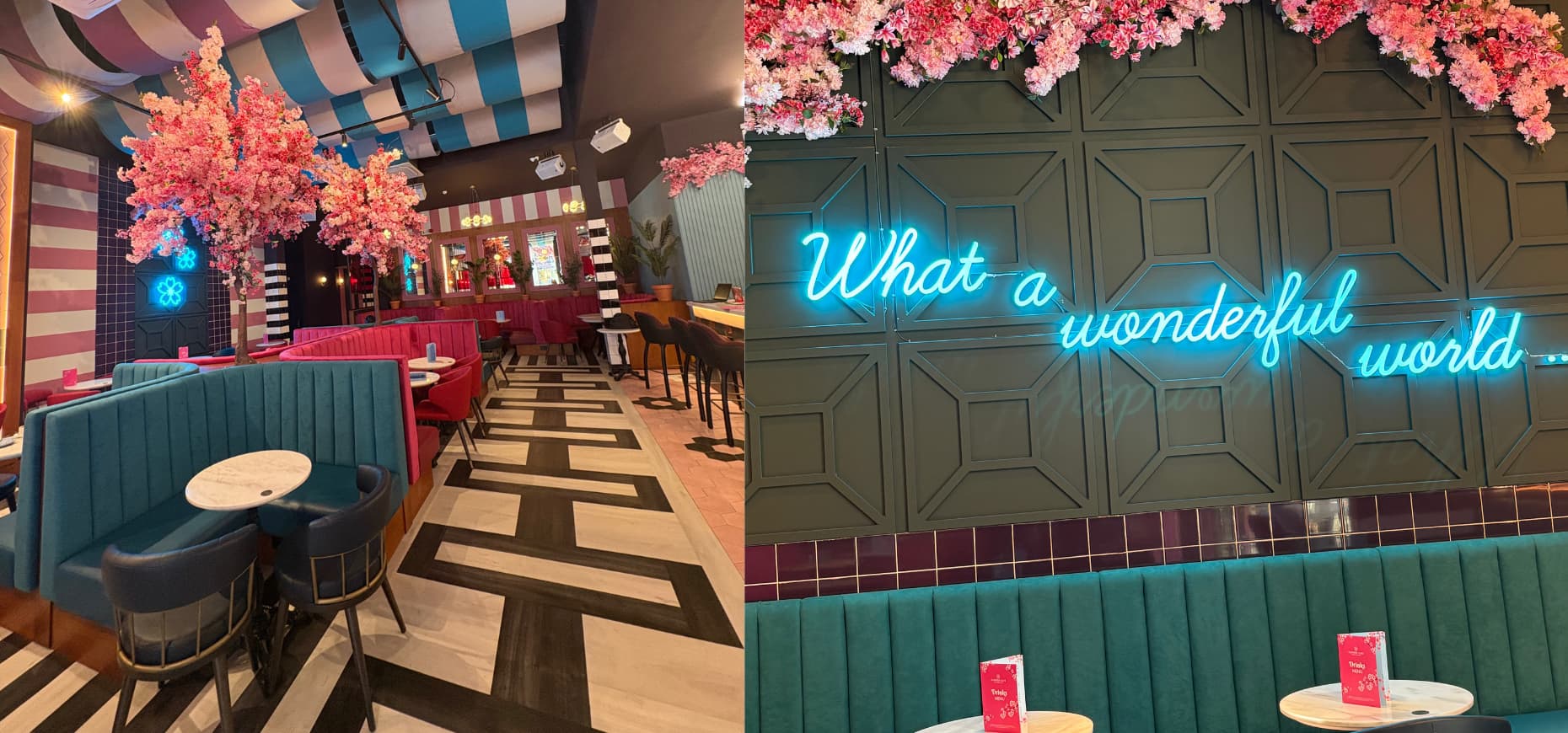 turk patrondan ingilterede yeni yatirim sayturk group sunderlandda the flower caf yi acti 0 zhdVylnP