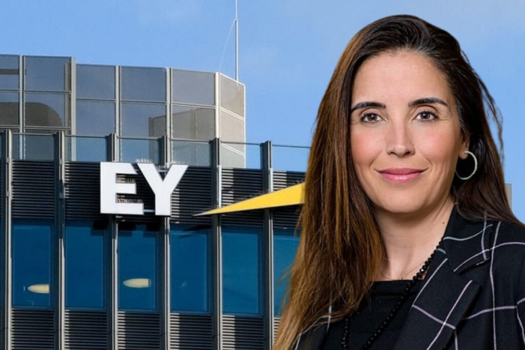 turk yonetici zeynep deldag eynin hollanda danismanlik lideri oldu 7OxULYfX