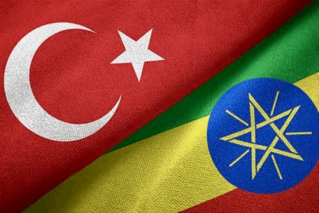 turkiye toplamda 25 milyar dolari bulan yatirimlarla etiyopyanin en buyuk ikinci yatirimcisi oldu U8iPwqPw
