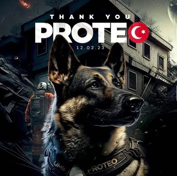 yatirimcilari arasinda aydin doganin da oldugu hypereverin kurtarma kopeginden ilham alarak gelistirdigi proteo adli 8RlgcTnM