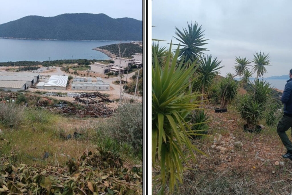 bodrumda yapilmasi planlanan 100 ve 60 oda kapasiteli 2 ayri projeye ced olumlu karari krhLvAtc