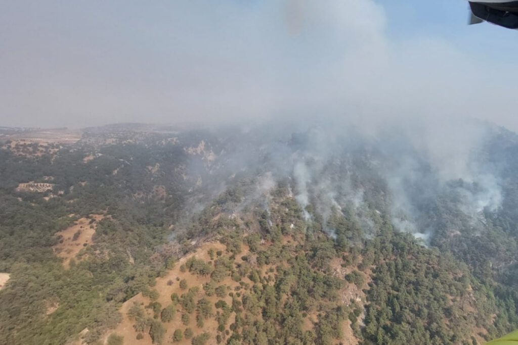 denizlide baslayan orman yangini aydina sicradi 10 helikopter 3 ucak ve yuzlerce personelle havadan 3465TaVI
