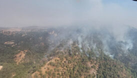 denizlide baslayan orman yangini aydina sicradi 10 helikopter 3 ucak ve yuzlerce personelle havadan 3465TaVI