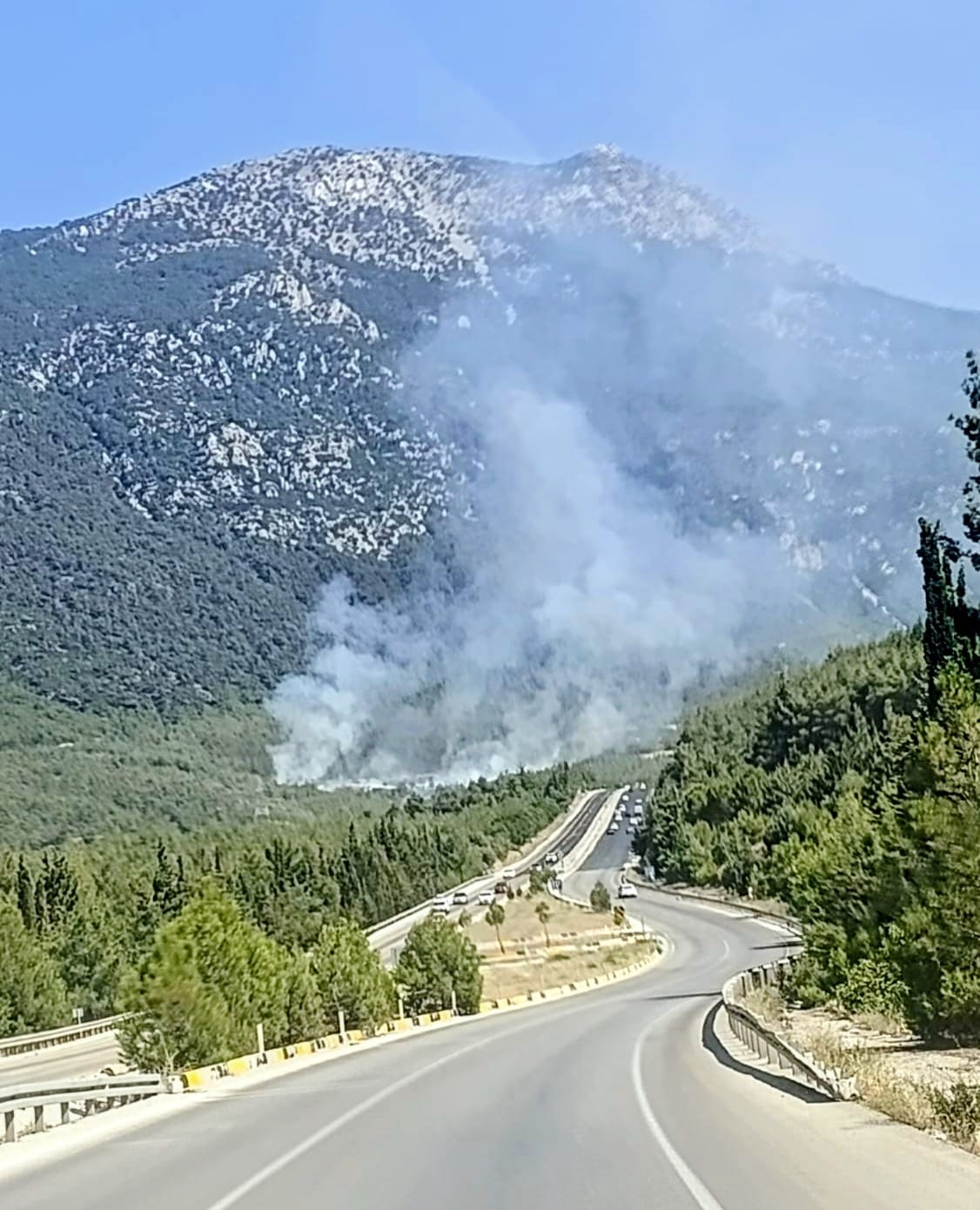 denizlide orman yangini basladi 0 Sg6nu1BX