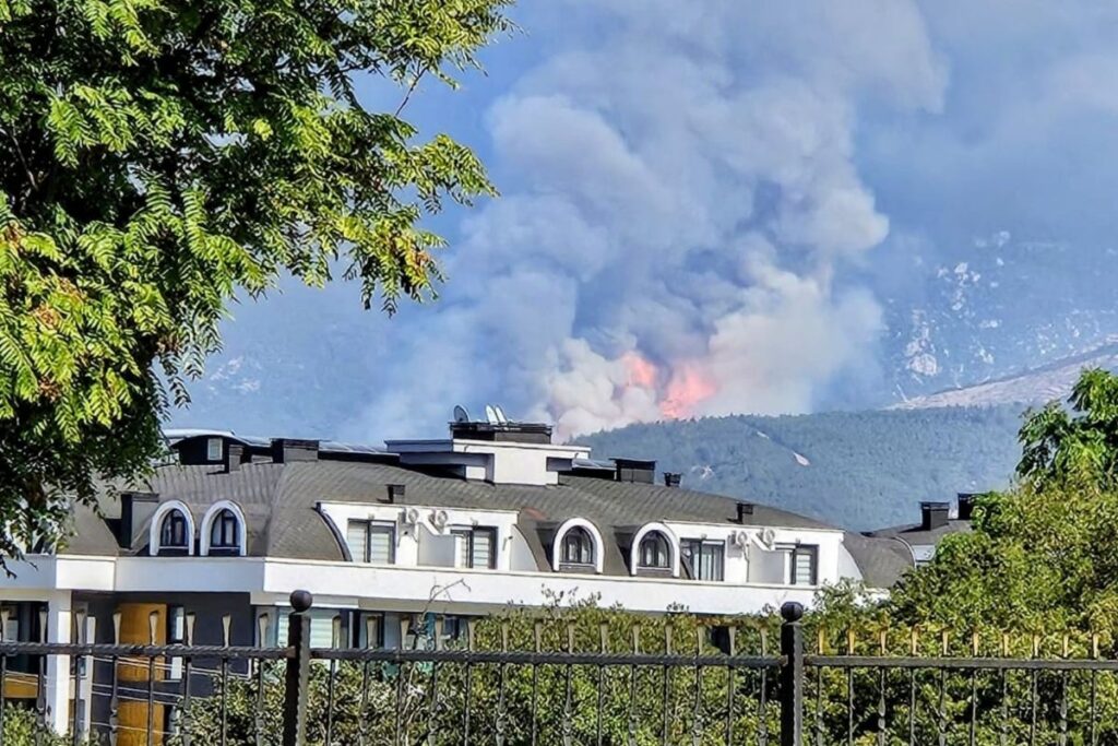 denizlide orman yangini basladi msjacqPX