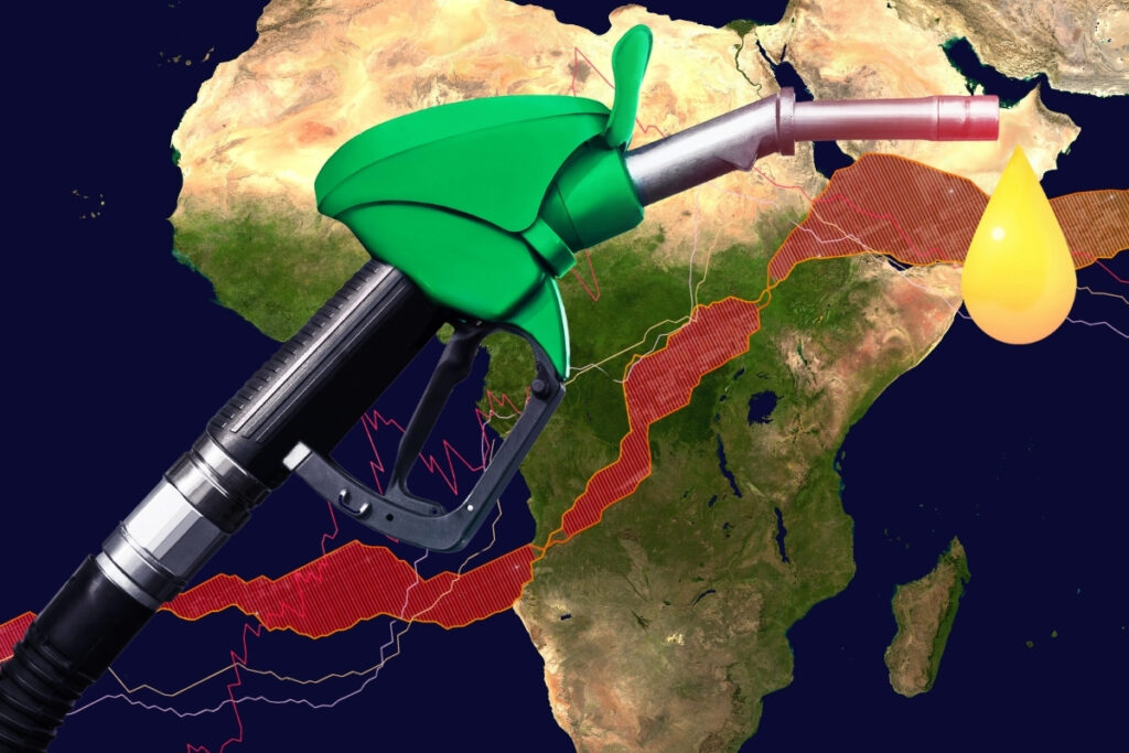 guney afrikada mahkeme totalenergies ve shellin petrol arama iznini iptal etti Y1zRcWDT