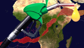 guney afrikada mahkeme totalenergies ve shellin petrol arama iznini iptal etti Y1zRcWDT