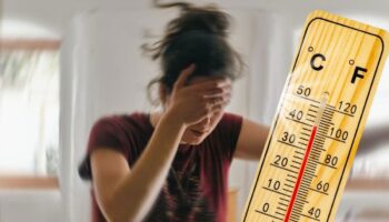 iklim degisikligiyle artan sicakliklar epilepsi ve demans gibi norolojik hastaliklari tetikliyor AXbH7Xt9