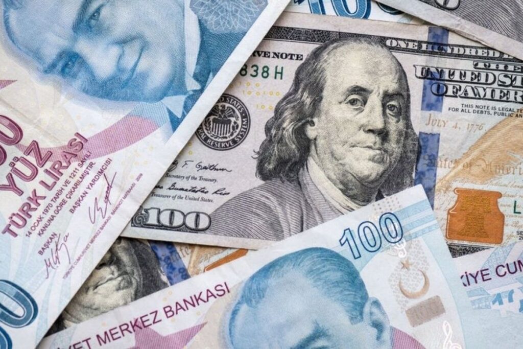 ing tlnin dolar karsisinda kaybi hizlandi bir yilda 5025e ulasabilir tUezyhue