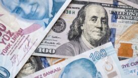 ing tlnin dolar karsisinda kaybi hizlandi bir yilda 5025e ulasabilir tUezyhue