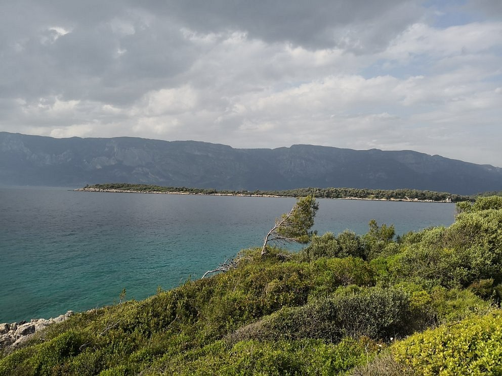 marmaris incekumda 49 cadir unitesi ve gunubirlik alani kapsayan konaklama projesi basliyor 1 WZK8DeWC