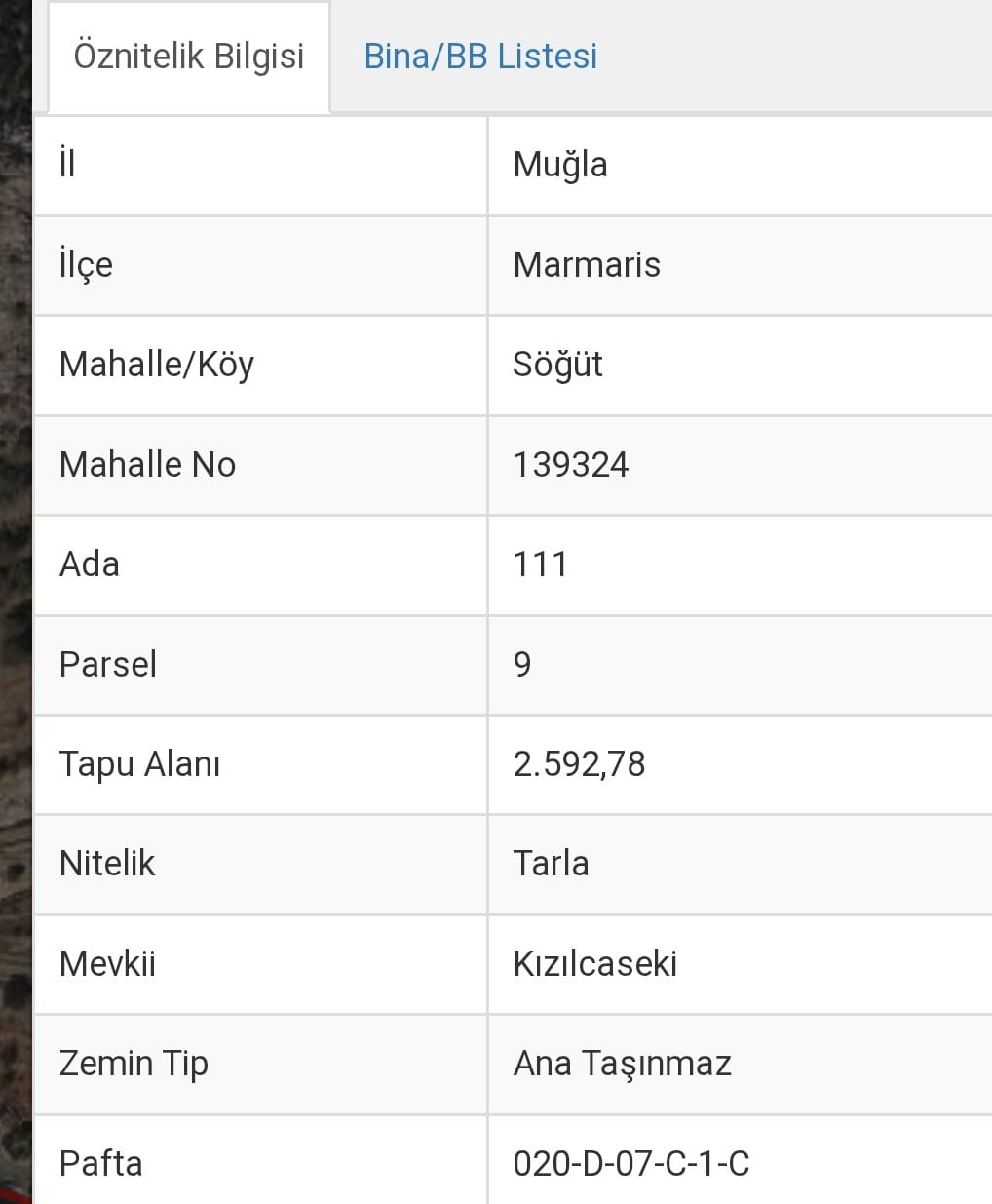 milli emlak mudurlugu marmariste denize sifir araziyi 45 milyon tahmini bedelle satisa cikardi 2 NS9ikeAT