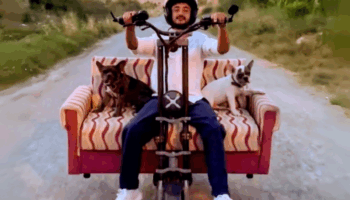 muglada daha once koltuklu scooter nedeniyle ceza yiyen genc bu sefer kanepeli scooterla yola ydXvVSK4