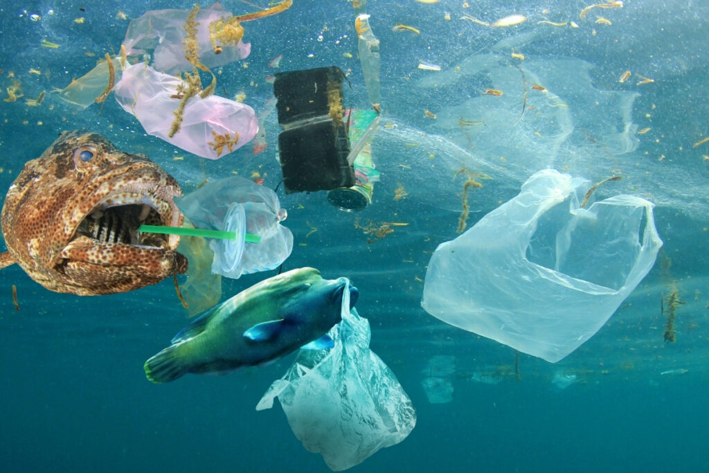 pasifik okyanusundaki plastik adasi buyuyor temizlik 10 yil surecek maliyet 75 milyar dolari bulacak wi95SIk2