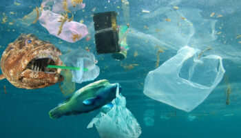 pasifik okyanusundaki plastik adasi buyuyor temizlik 10 yil surecek maliyet 75 milyar dolari bulacak wi95SIk2