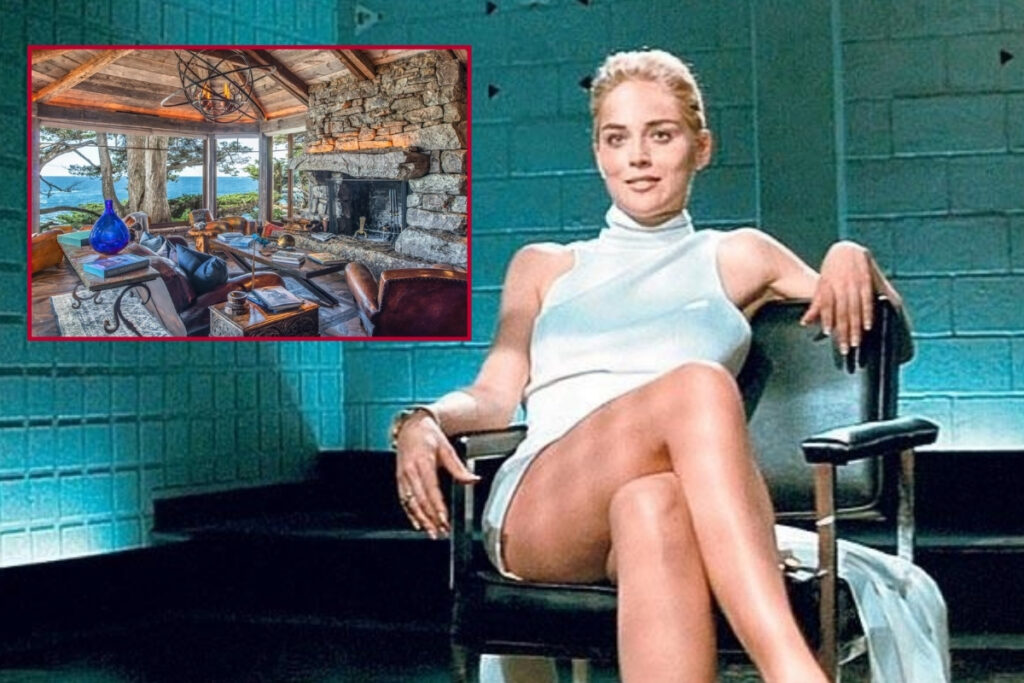 sharon stoneun temel icgudu filminde kullanilan evi pasifik manzarali luks kompleks icinde 913 milyon zW7n15Y1