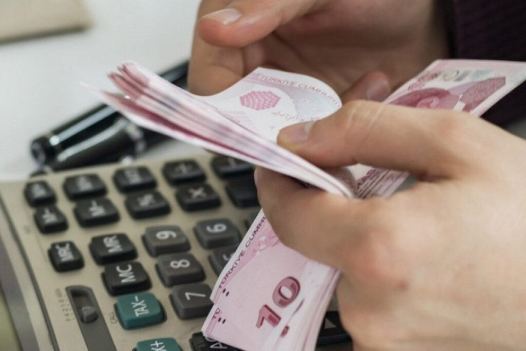 turkiyede mevduat yapisi degisiyor tl hesaplar buyuyor doviz hesaplari azaliyor AJJxS86E
