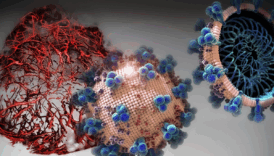 avrupada koronavirus yeniden yukselise gecti frankenstein varyanti hizla yayiliyor wDfnmQCh