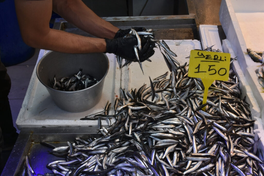 balik bollasti hamsi ve istavritin kilosu 150 tlye dustu bxRAwjEy