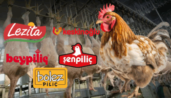 beyaz et sektorunde ihlaller de cezalar da sirketler de ayni iVWuvUhG