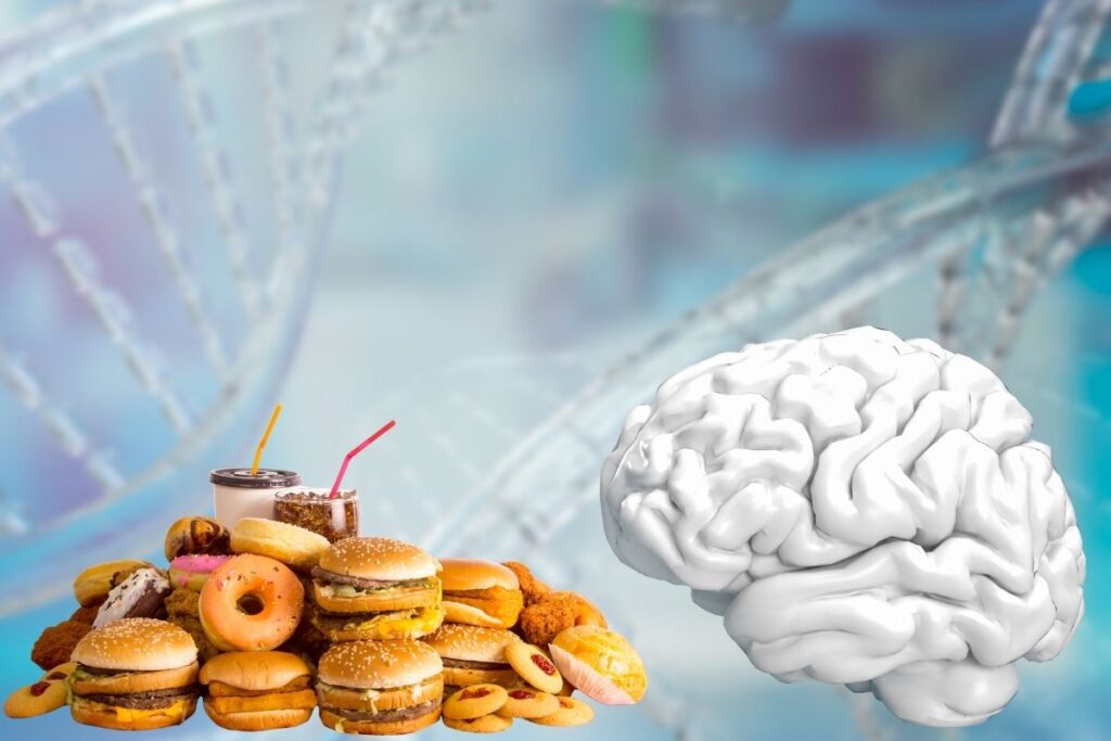 bilim insanlari fast foodlarin yalnizca 4 gun icinde beyin hucrelerinde bozulmaya neden oldugunu kesfetti 1vAxcBCC