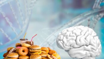 bilim insanlari fast foodlarin yalnizca 4 gun icinde beyin hucrelerinde bozulmaya neden oldugunu kesfetti 1vAxcBCC