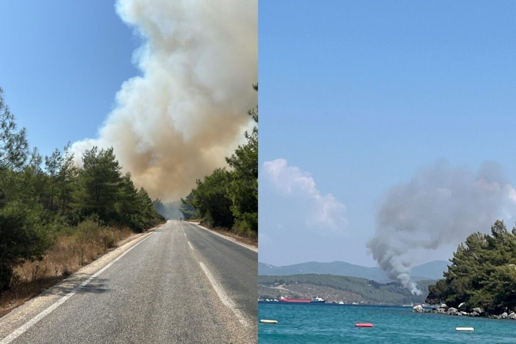 bodrumda orman yangini basladi bolgeye cok sayida itfaiye ve ormana ait arazoz sevk edildi zJpkh9gQ