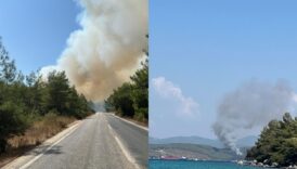 bodrumda orman yangini basladi bolgeye cok sayida itfaiye ve ormana ait arazoz sevk edildi zJpkh9gQ