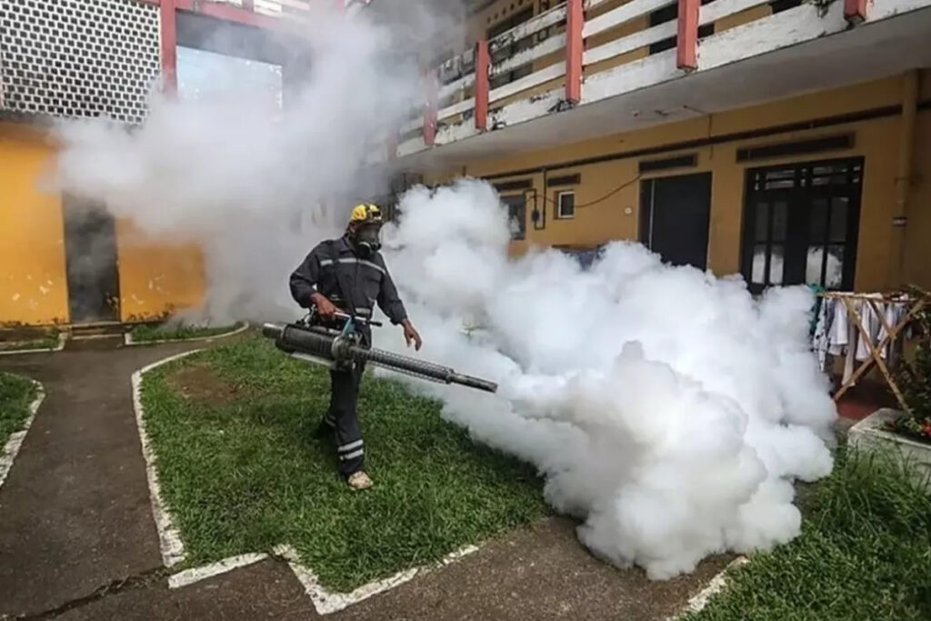 cinde 1714 chikungunya atesi vakasi tespit edildi OGkhfh79