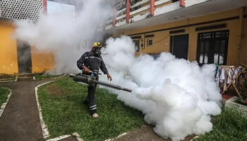 cinde 1714 chikungunya atesi vakasi tespit edildi OGkhfh79