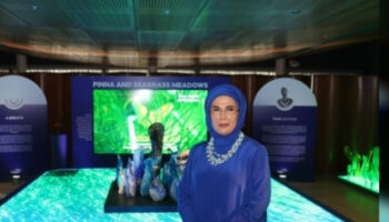 emine erdogan sifir atik mavi projesi sergisi ve kulturel etkinliklerle cevre aile ve saglik LMa4AeKk