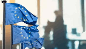 euro bolgesinde genc issizlik orani tarihi dusuk seviyeye geriledi p4il7bxx